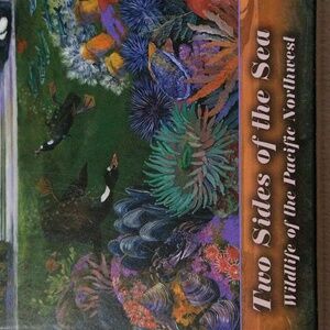 Jigsaw Puzzle Pacific Northwest "Two Sides of the Sea" 500pc